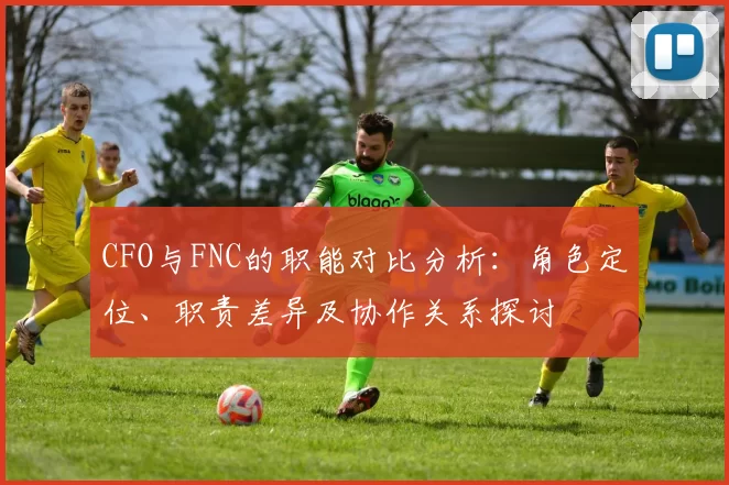 CFO与FNC的职能对比分析：角色定位、职责差异及协作关系探讨