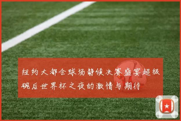 纽约大都会球场静候决赛盛宴超级碗后世界杯之夜的激情与期待