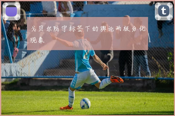 戈贝尔防守标签下的舆论两极分化现象