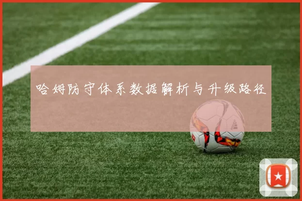 哈姆防守体系数据解析与升级路径