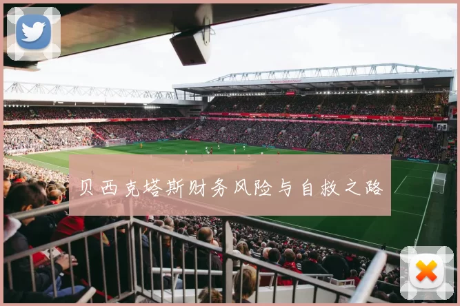 贝西克塔斯财务风险与自救之路