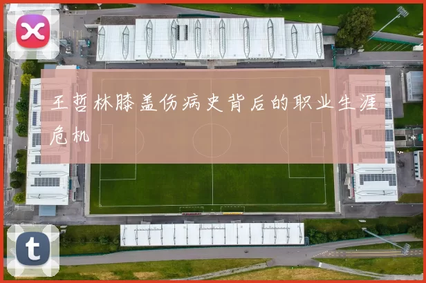 王哲林膝盖伤病史背后的职业生涯危机