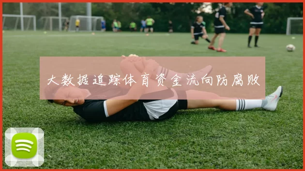 大数据追踪体育资金流向防腐败