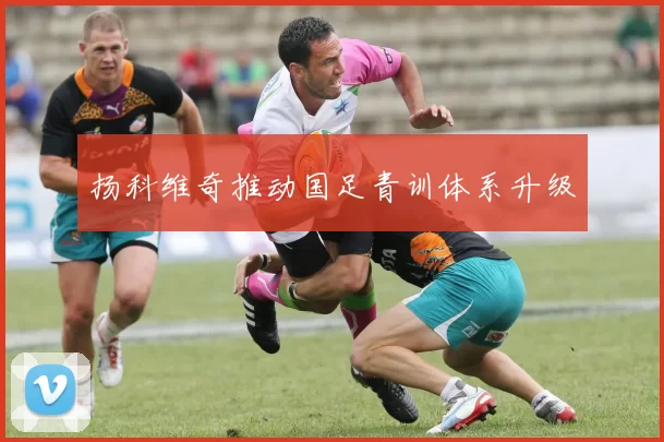 扬科维奇推动国足青训体系升级
